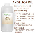 Óleo de extrato de raiz de angelica dahurica natural da Angelica Dahurica para massagem