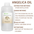 Pur naturel natural angelica dahurica racine extrait huile pour le massage