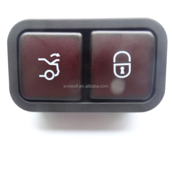 Automobile Lock Open Power Dual Button Switch for Car Door