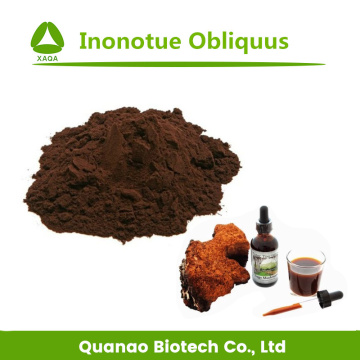 Chaga Mushroom Extract Inonotue Obliquus Polysaccharides 10%