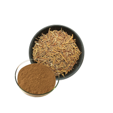 Health Product Natural Siberian Ginseng Extract Powder