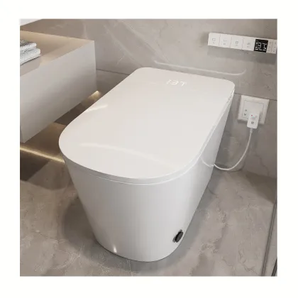 Smart One-Piece Bathroom WC Toilet