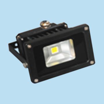 10W LED Floodlight