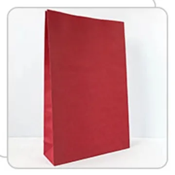 Christmas exquisite gift paper bag