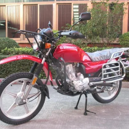 Off-Road Motorcycle Search