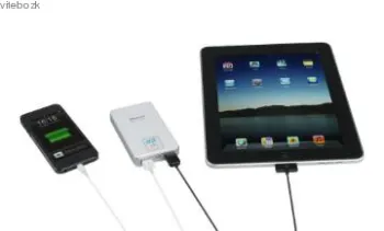 Cool Gifts Portable Battery Charger with Strong Utility and Fashion