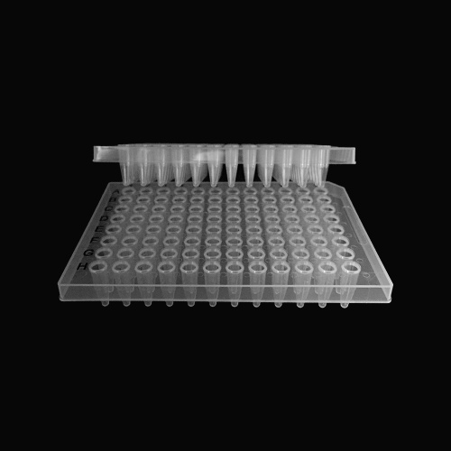 Clear Polypropylene PCR пласцін 0.2ML
