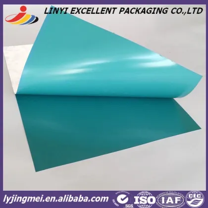 Postive Offset Printing Plate with Kodak Developer