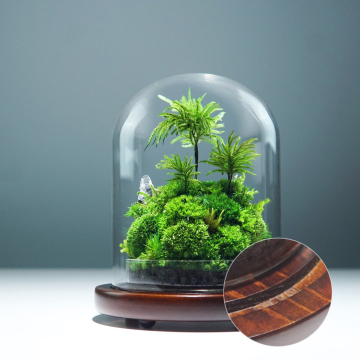 Miniature Rainforest Moss Decor: Preserved Moss Art Terrarium for Eco-Friendly Home Decor