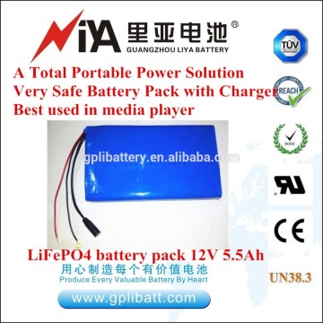 12V 5.5Ah LiFePO4 battery pack in series with 9043140-5.5Ah*4pcs