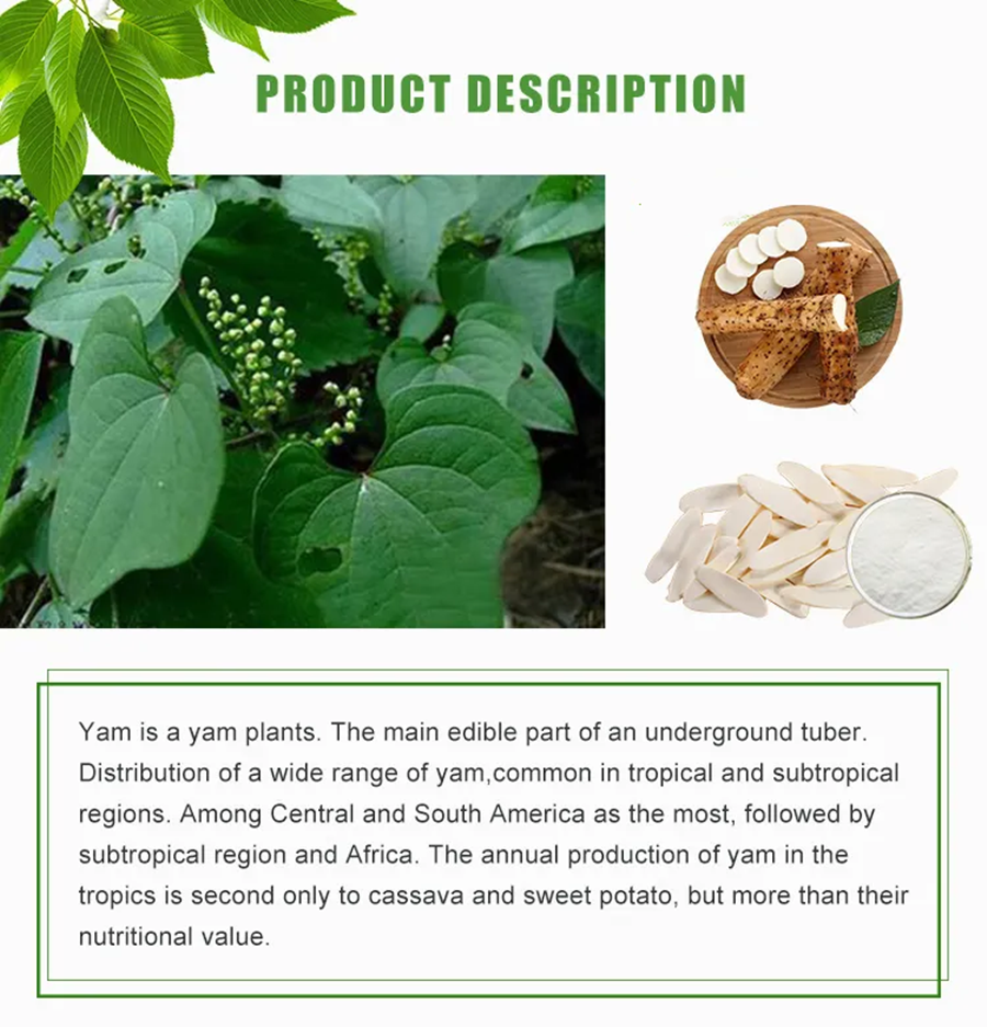 Is Wild Yam Extract safe