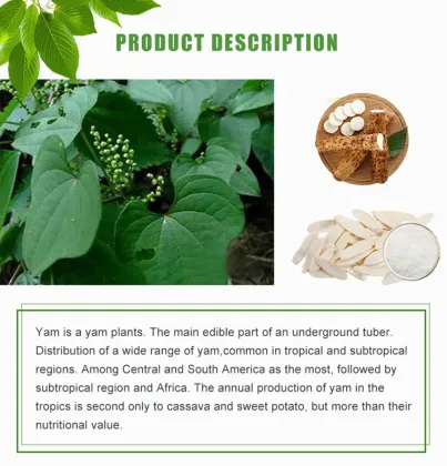 HALAL Chinese Yam Powder Chinese Yam Yam