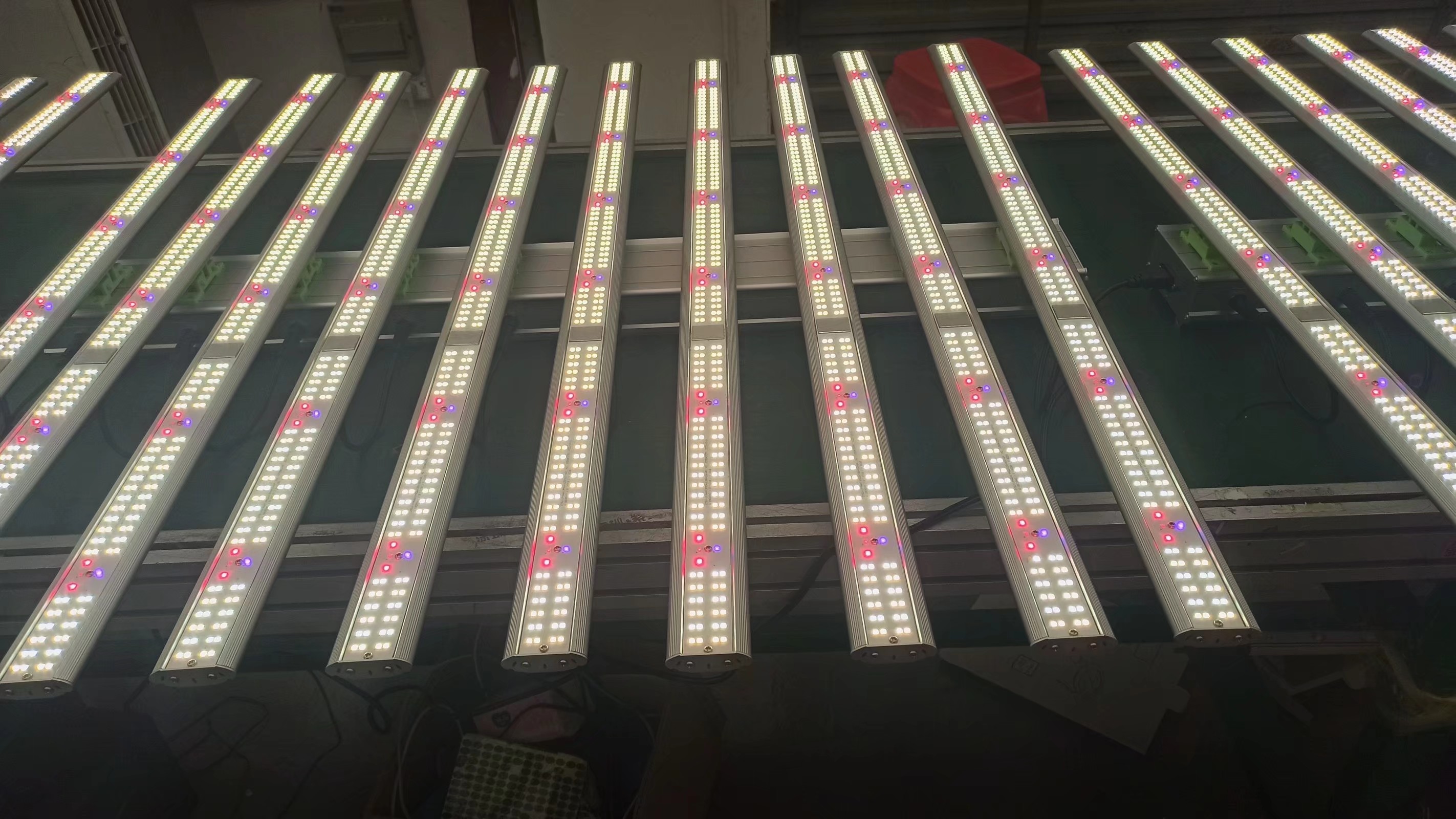 RYGH Tech 1000W LED Grow light 1