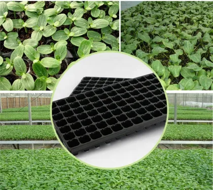 Titans Plastic Nursery Trays & Lids for Gardening & Greenhouse Use