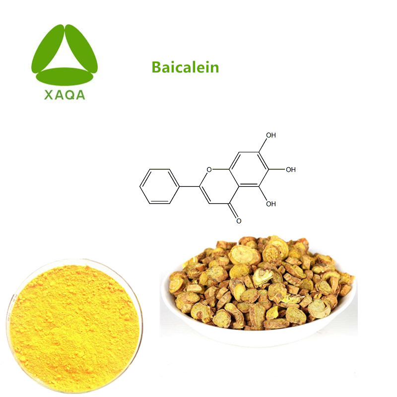 Baicalein Powder