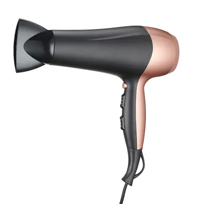 2200W Pro Hair Dryer with Diffuser and DC Motor