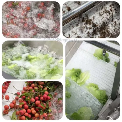 Air Bubble Commercial Vegetable Washing Machine