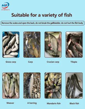 Automatic Fish Filleting Machine for Pickled Fish - Inclined Cutting Fillet Machine