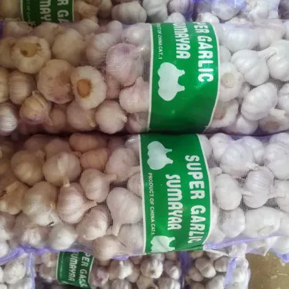 Fresh Garlic Vegetable Normal s