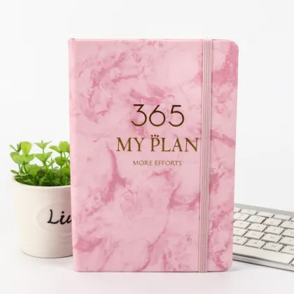 Hot Selling 2022 Daily Planner 365 Days Calendar