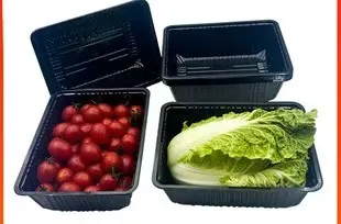 The Resilience of Black PET: Enhancing Tableware Packaging with Strength and Style