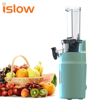 Durable SJ-019 Slow Juicer Extractor Screw Tomato Juicer