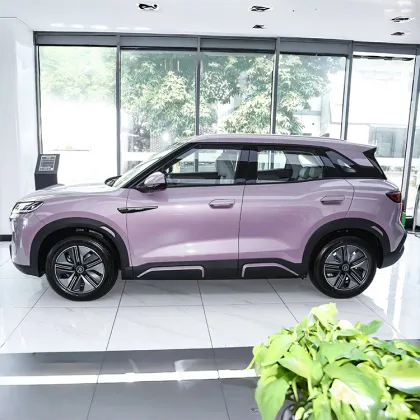 China Electric Brand New Smart Pro Vehicle: BYD Yuan UP