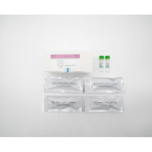 Kit de prueba de ácido nucleico EV (método de sonda de fluorescencia de PCR)