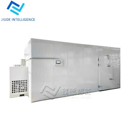 Automation Fruit Tea Dried Fruit drying machine Lemon Bitter Melon Dryer Machine  Heat Pump Dehydrator 