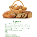 Food grade baking phospholipase enzyme