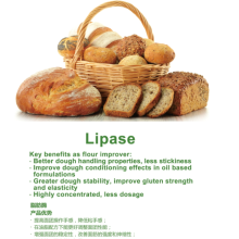 Food grade baking enzyme industrial lipase for flour