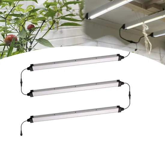 Shenzhen Customized Full Spectrum LED Grow Lights for Indoor Planting