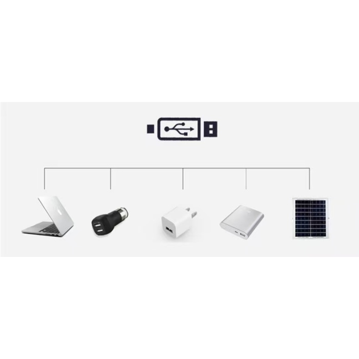 Inseto de carregamento ao ar livre atraindo lâmpada