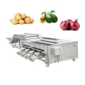 Potato Grading Machine Avocado Sorting Machine