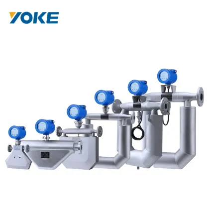 Natural Gas Mass Flowmeter - Air Mass Flowmeter Coriolis DN1-DN200