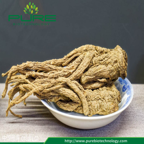 Gmp Standards Angelica Sinensis /dong Quai Root, High Quality Gmp
