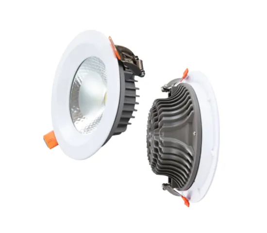 Ceiling LED downlight for home lighting