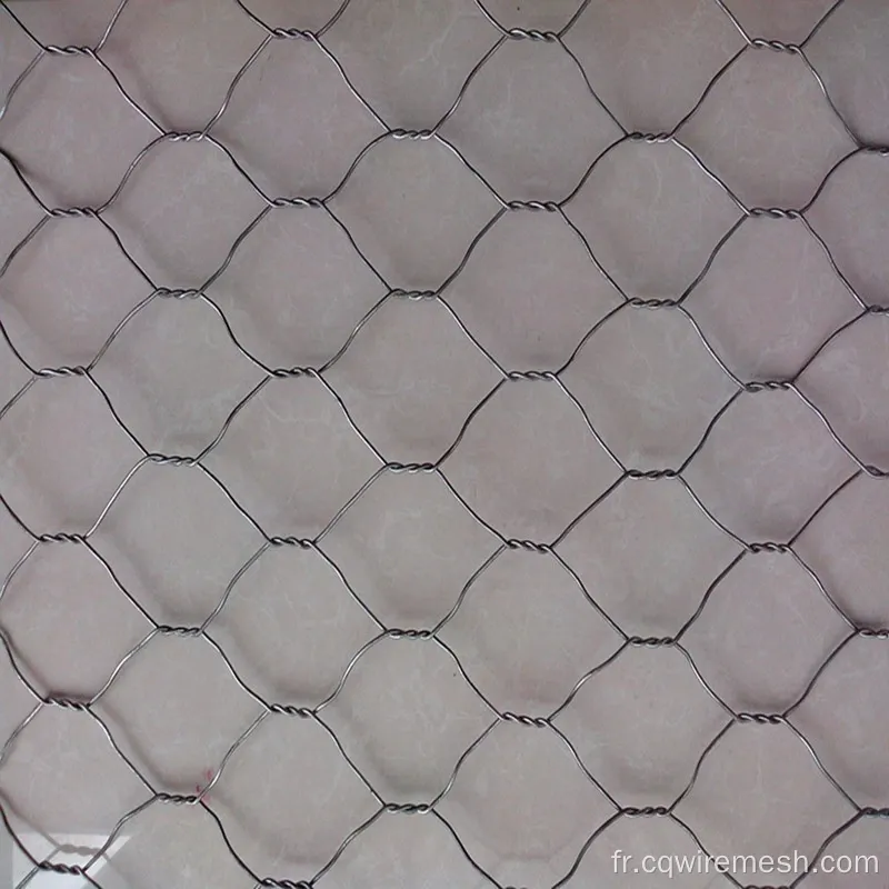 Weavon Galvanized Gabion Panier pour le projet de mur de soutènement