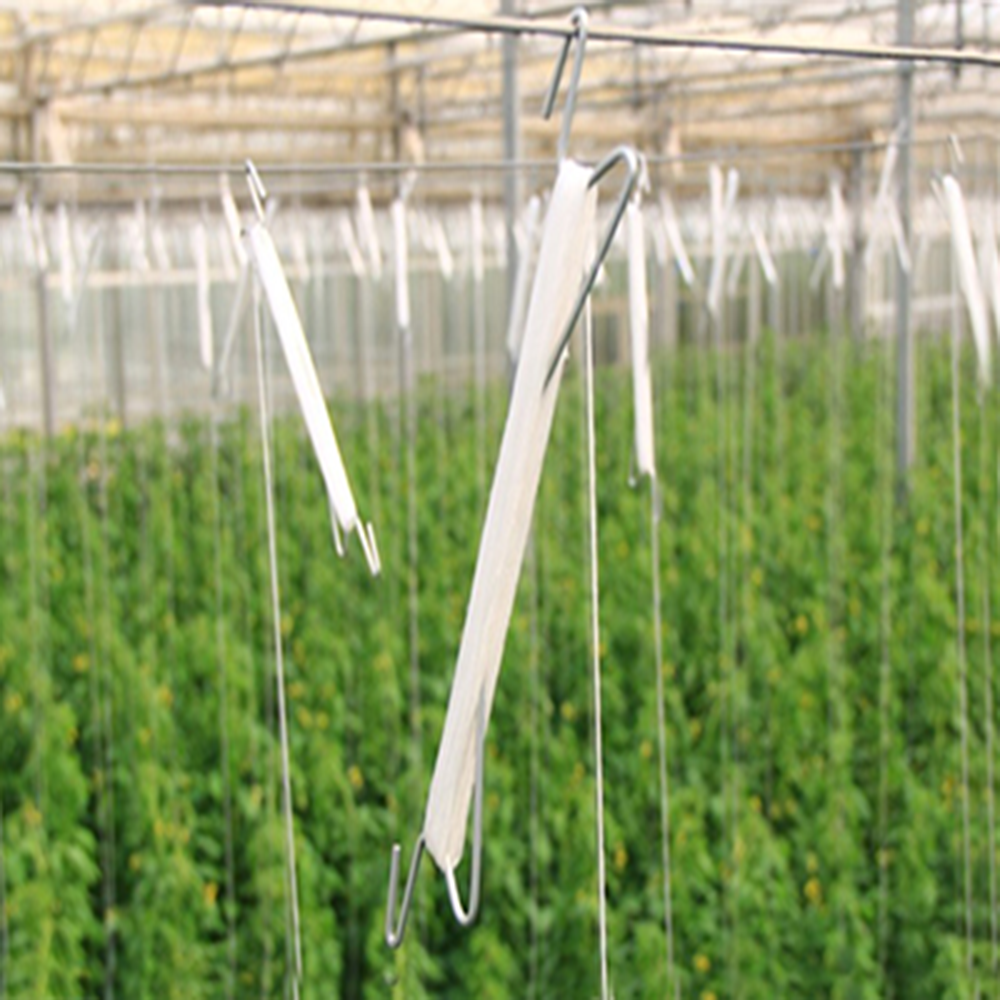 Greenhouse Plant Hooks Supports With Twines