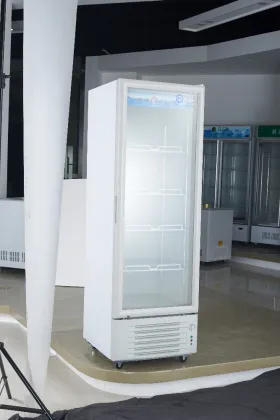 348L coca cola Beverage upright refrigerator showcase LG4-348