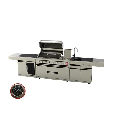 New Arrival Stainless Steel Smart BBQ Infrared Grill Outdoor Cabinet