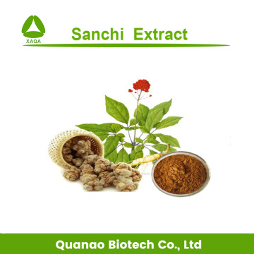 Sanchi Extract Tienchi Ginseng Powder Panax Notoginseng