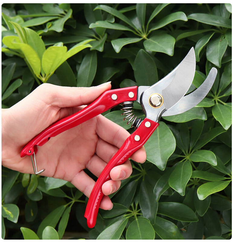 SK5 steel fruit cutting branch bypass pruning cutter garden bonsai pruner outdoor gardening tools
