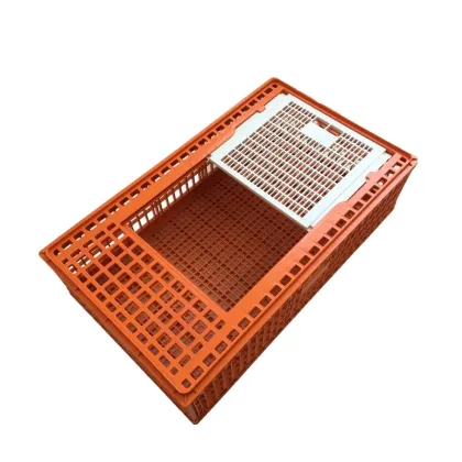 Agrieso Plastic Chicken Crates for Poultry Farms and Transport