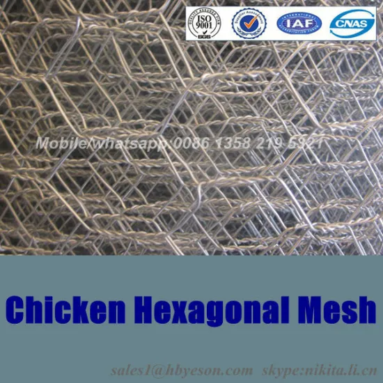 Cheap!!! hot sale Chicken hexagonal wire mesh/anping hexagonal mesh