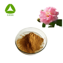 Althea Flower Hibiscus Extract Powder