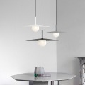Hanging Lamp Modern Lighting Led Decorative Pendant Light