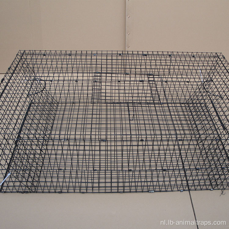 Trap Possum Cage Live Animal Catch Feral Cat