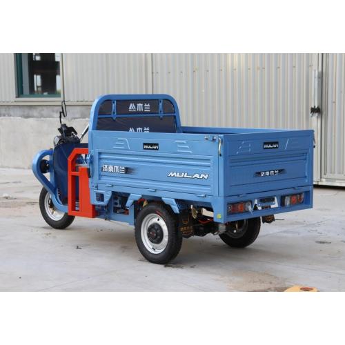 Low Price Eec Certification Electric Tricycle For Adult