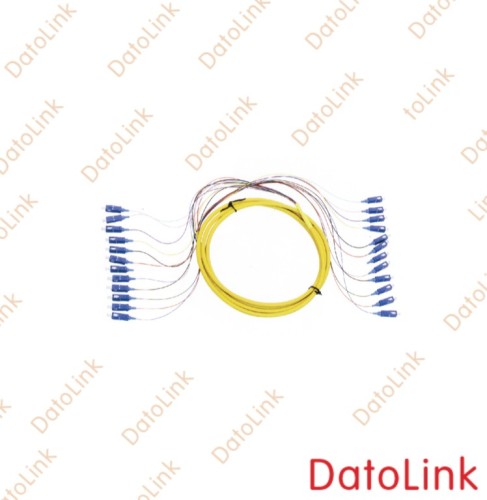 Sc 12 Cores Fan Out Fiber Optic Pigtail/ Fibre Optical Pigtails, High ...